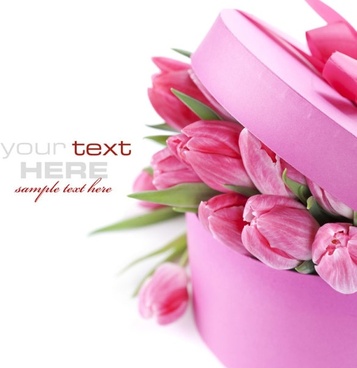 beautiful flowers background 03 hd picture