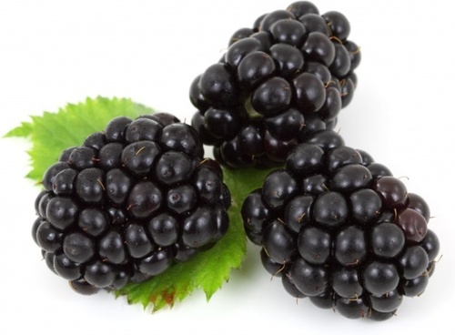 Image result for black barry fruits