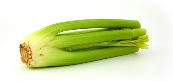 celery