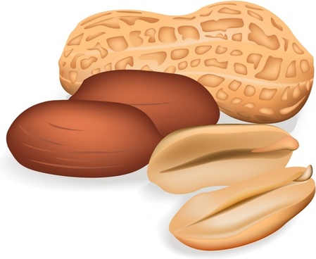 Peanut free vector download (26 Free vector) for commercial use. format