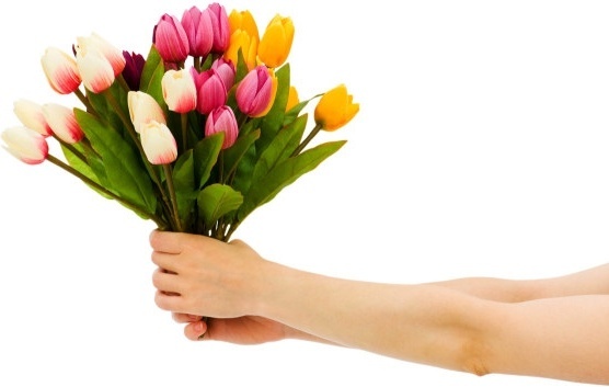 holding_a_tulip_hd_picture_166831.jpg