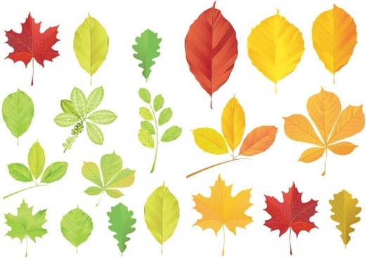 leaf clipart cdr - photo #32