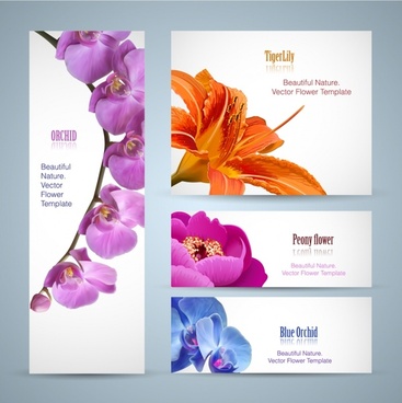 Flower Banners Free vector in Adobe Illustrator ai ( .ai ) vector