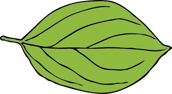 leaf clipart cdr - photo #31