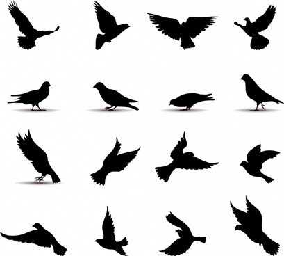 White pigeon flying free vector download (8,562 Free vector) for