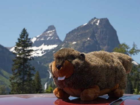 marmot soft toy