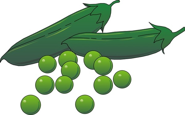 free clipart vegetables - photo #33
