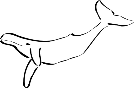 free cartoon whale clip art - photo #43