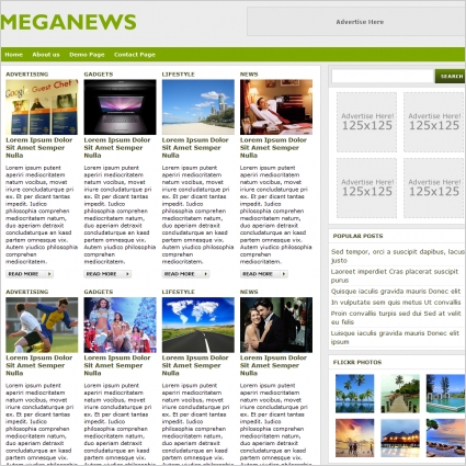 Meganews Template