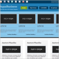 Aqua Business Template