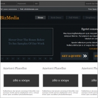 Biz Media Template