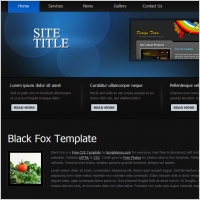  black fox
