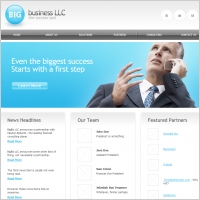 Business LLC Template