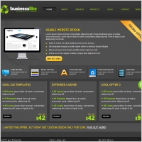 BusinessLike Template