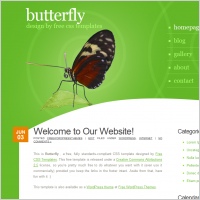 butterfly