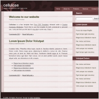 cellulose