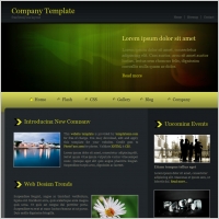  company yellow
