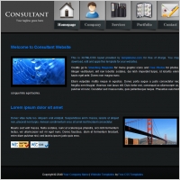  consultant