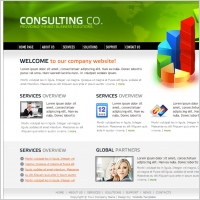 Consulting Co. Template