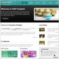  corporate