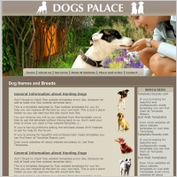 Dogs Palace Template