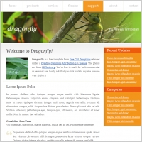dragonfly