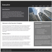 Executive Template