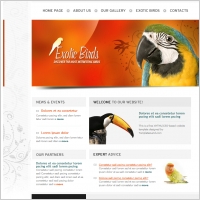 Exotic Birds Template