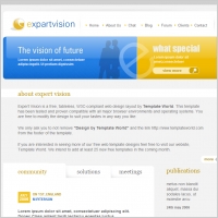 Expert Vision Template