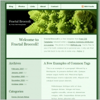 fractal broccoli
