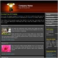 Free website template
