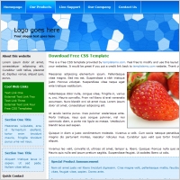 Free website template
