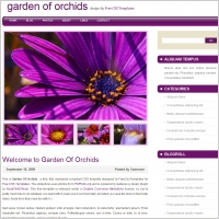 garden of orchids