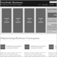 Grey Scale Business Template