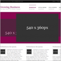Growing Business Template