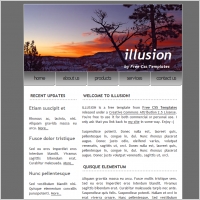 illusion