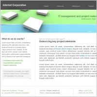 Internet Corporation Template