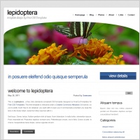 lepidoptera