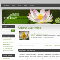 lotus flower
