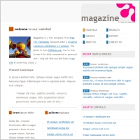 magazine