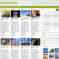 Meganews Template