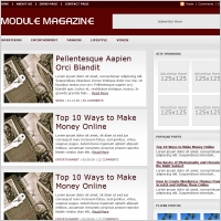Module Mag Template