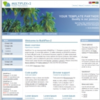 MultiFlex-2 Template