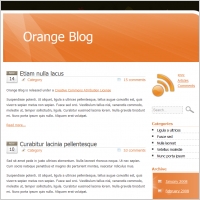 Orange Blog Template