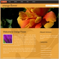orangeflower