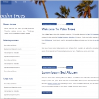palm trees