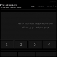 Photo Business Template