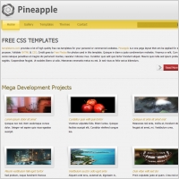  pineapple