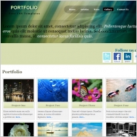  portfolio
