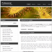 professional